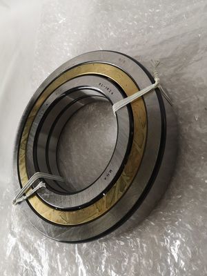 3L1824 Bagger Bearing